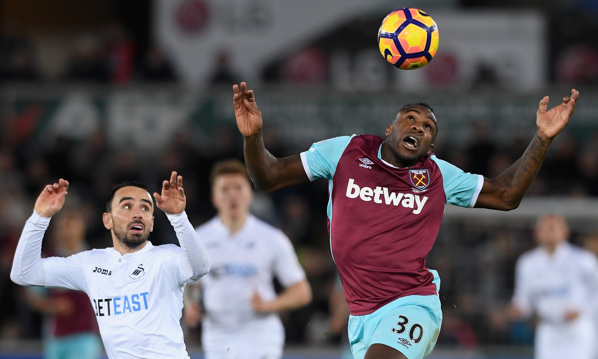 悉尼马拉松 悉尼马拉松